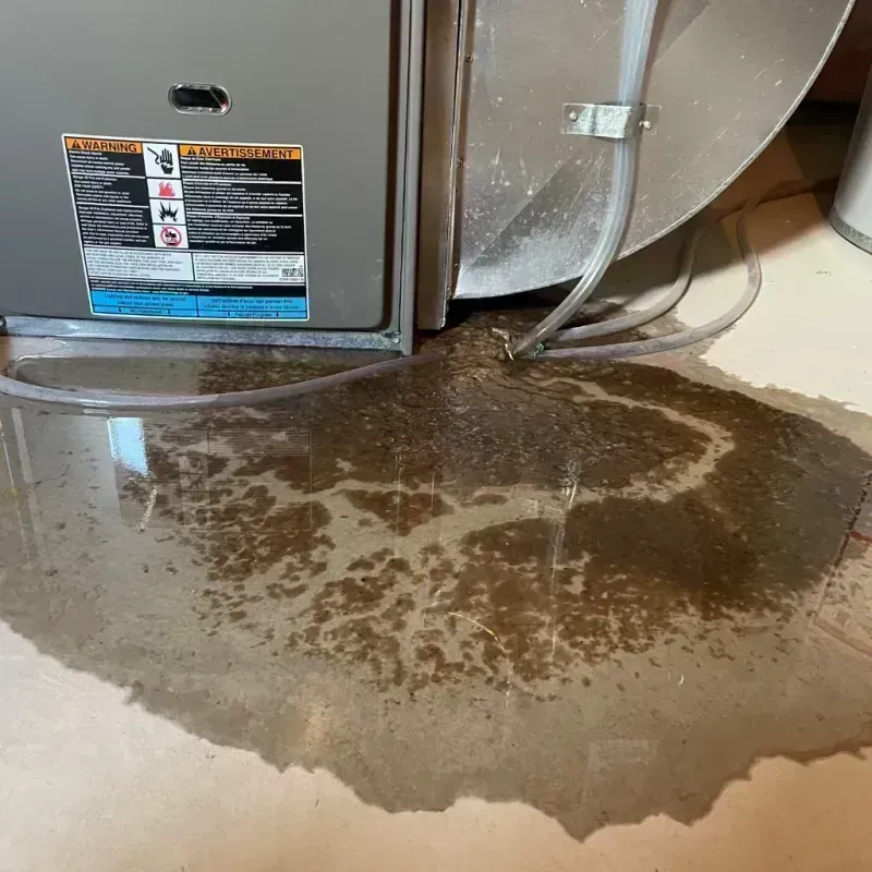 Appliance Leak Cleanup in Richmond, IL